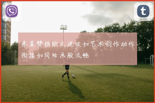 弗莱赞扬欧文进攻如艺术创作动作衔接如同绘画般流畅