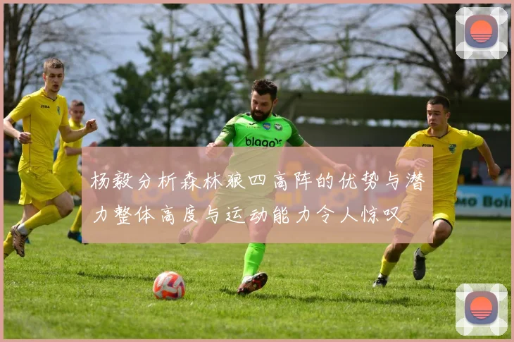 杨毅分析森林狼四高阵的优势与潜力整体高度与运动能力令人惊叹