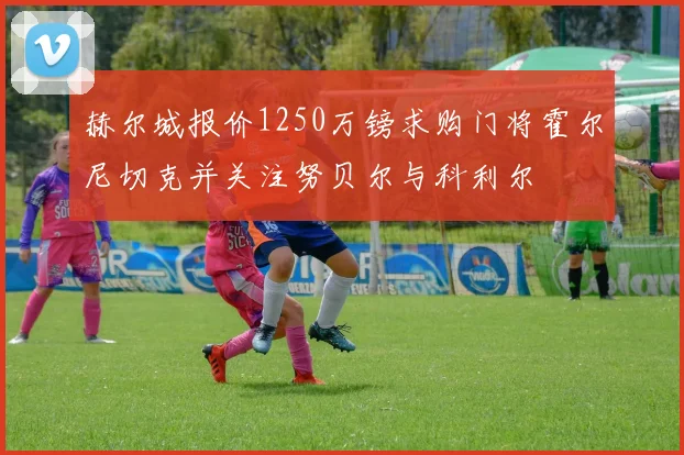 赫尔城报价1250万镑求购门将霍尔尼切克并关注努贝尔与科利尔