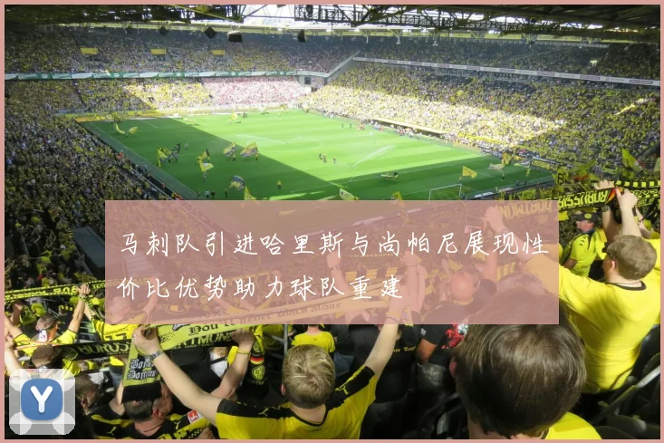 马刺队引进哈里斯与尚帕尼展现性价比优势助力球队重建